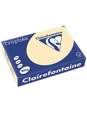 PAPIER A4 CLAIREFONTAINE TROPHÉE 160g/m² CHAMOIS