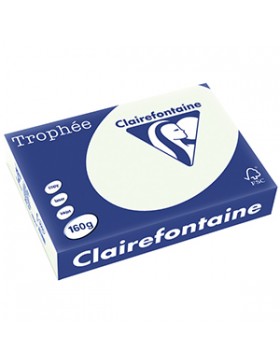 PAPIER A4 CLAIREFONTAINE TROPHÉE 160g/m² VERT PÂLE