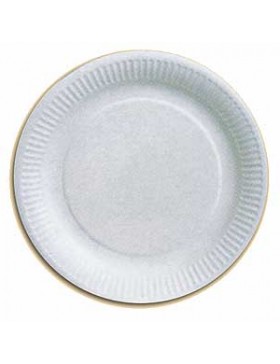 ASSIETTE CARTON BLANC Ø15 CM