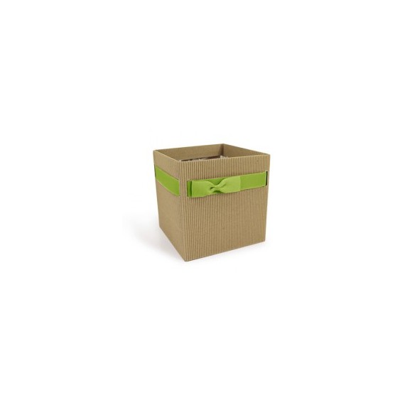 BOX CARTON "NATURAL SIMPLY" 105*105*100mm + NOUD VERT