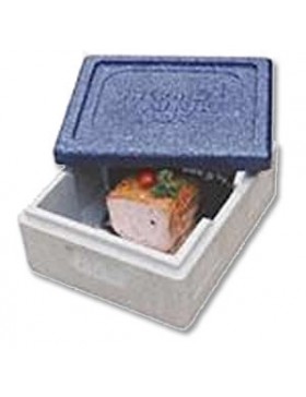 BOX FRIGOLYTE gn1/2 haut 28cm