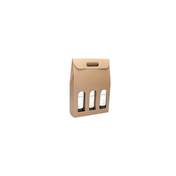 BOITE PORTABLE 3 btl 270*90*380mm KRAFT FENETRE
